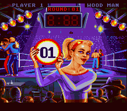 Best of the Best SNES (kun kassett, SCN)