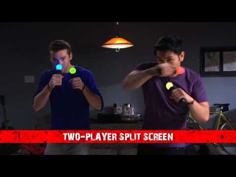 The Fight (PS Move)