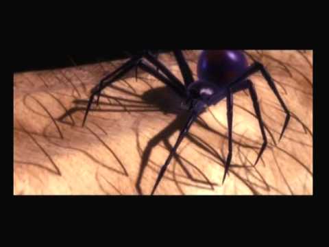 Spider-Man - PS2