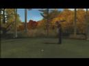 Tiger Woods PGA Tour 08