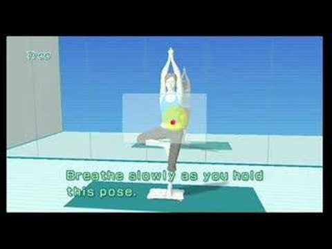 Wii Fit